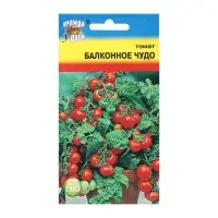 Семена Томат "Балконное чудо", детерминантный,низкорослый  0,1 г