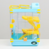 Клетка для грызунов "Пижон", 31 х 24 х 46 см, голубая Клетка для грызунов "Пижон", 31 х 24 х 46 см, голубая