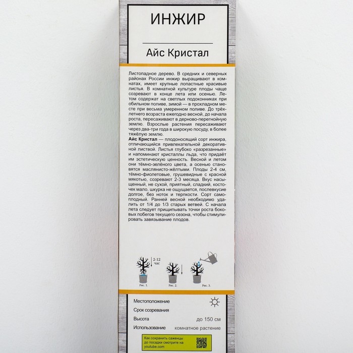 Инжир "Айс Кристал", 1 шт, туба, Весна 2025