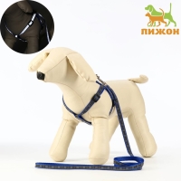 Комплект светоотражающий "Косточки",поводок 1 х 120 см,(ОШ 28-36 см,ОГ 28-36 см) синий