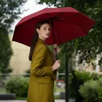 Зонт складной Ribbo, красный