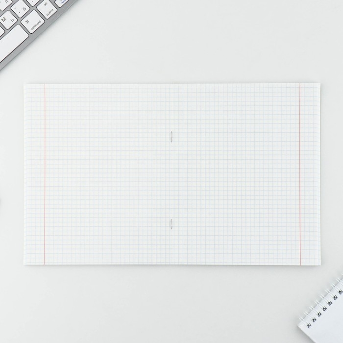 Тетрадь в клетку, 48 листов А5 на скрепке МИКС &laquo;1 сентября: Котики&raquo;, обложка мелованный картон 230 гр внутренний блок №1, белизна 96%