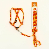 Комплект "Большая лапа", ширина 1 см, поводок  120 см, шлейка 25-36 см, оранжево-жёлтый