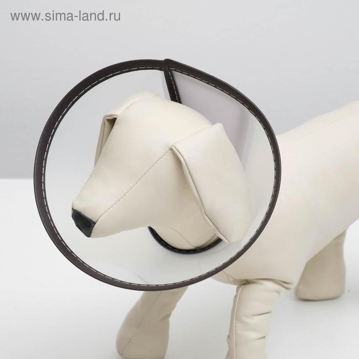 Ветеринарный воротник "Пижон" №1, обхват шеи 14 см, высота 10 см