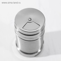 Солонка из нержавеющей стали «Металлик», 280 мл, 6,3×10,5 см, цвет серебряный Солонка из нержавеющей стали «Металлик», 280 мл, 6,3×10,5 см, цвет серебряный