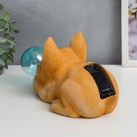 Сувенир полистоун свет "Бульдог и мыльный пузырь" от солнечной батареи 12х11,5х26 см