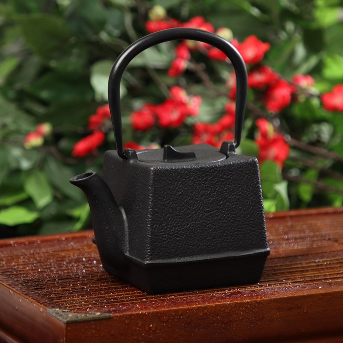 Чайник для плиты Доляна &laquo;Бокей. Этно&raquo;, 700 мл, с ситом, чугун, с эмалированным покрытием, индукция, цвет чёрный