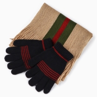 Подарочный набор &laquo;С 23 Февраля&raquo;: шарф, перчатки