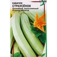 Семена Кабачок Страусенок 15 шт