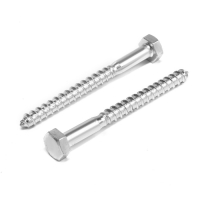 Шуруп-болт ТУНДРА, сантехнический, оцинкованный, DIN 571, М10х110 мм, 4,8 - 5 кг Шуруп-болт ТУНДРА, сантехнический, оцинкованный, DIN 571, М10х110 мм, 4,8 - 5 кг