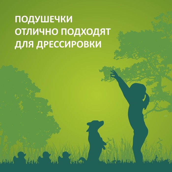 Подушечки глазированные TitBit "Золотая коллекция" для собак, с начинкой из индейки, 100 г