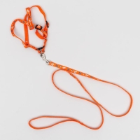Комплект амуниции "Собачки",  поводок 120 х 1 см, ОГ 27-42 см, оранжевый