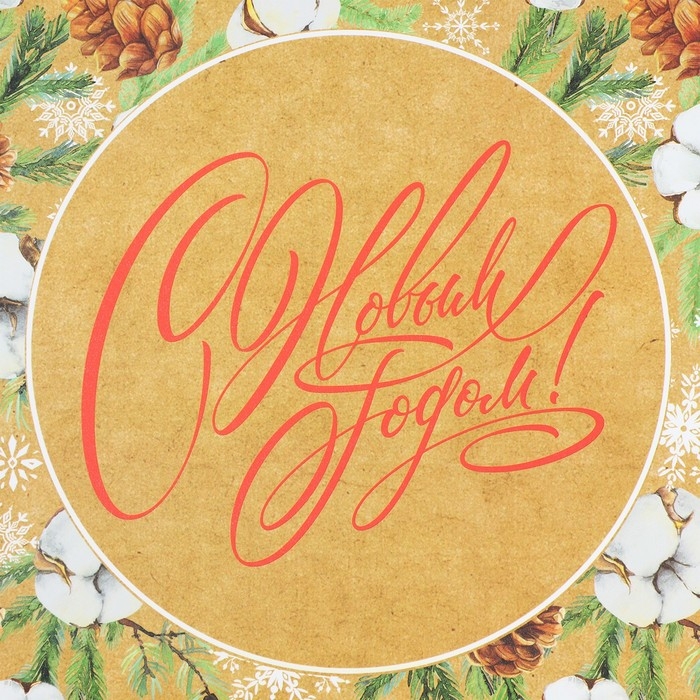 Коробка подарочная новогодняя складная &laquo;Новогодняя ботаника&raquo;, 21 х 15 х 5 см