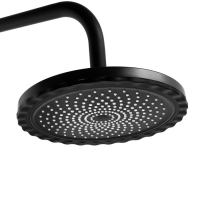 Душевая система ZEIN Z1014, тропическая и ручная лейка, 2 шланга, мыльница, черная Душевая система ZEIN Z1014, тропическая и ручная лейка, 2 шланга, мыльница, черная