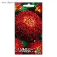 Семена цветов  Астра "принцесса Сильвия", 90 шт