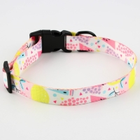 Ошейник &laquo;Сочное настроение&raquo;, застёжка - фастекс, 2.5 см, 40-55 см