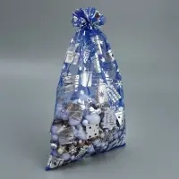 Мешочек подарочный органза &laquo;Зимние радости&raquo;, 20 х 30 см +/- 1.5 см