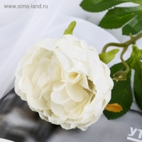 Цветы искусственные "Пышный пион" 7х47 см, белый Цветы искусственные "Пышный пион" 7х47 см, белый