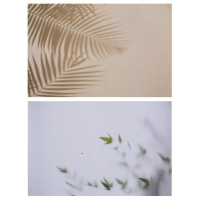 Фотофон двусторонний бумага 300 гр "Тень и листья" 57х87 см Фотофон двусторонний бумага 300 гр "Тень и листья" 57х87 см