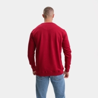 Свитшот мужской, цвет бордовый/принт МИКС, размер 48 (L) Свитшот мужской, цвет бордовый/принт МИКС, размер 48 (L)