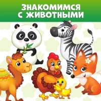 Книги картонные набор &laquo;Животные&raquo;, 4 шт., по 10 стр.