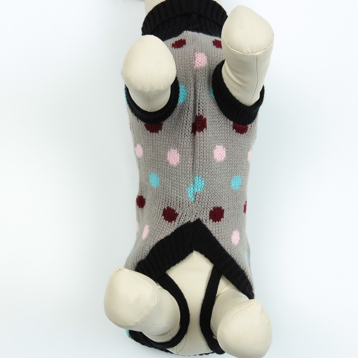 Свитер, размер 16 (ДС 45-60, ОШ 20-37, ОГ 37-52 см), микс расцветок Свитер, размер 16 (ДС 45-60, ОШ 20-37, ОГ 37-52 см), микс расцветок