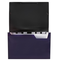 Папка картотека А4, Calligrata TOP DeLuxe, 6 отделений, пластиковая, 1000 мкм, черничная Папка картотека А4, Calligrata TOP DeLuxe, 6 отделений, пластиковая, 1000 мкм, черничная