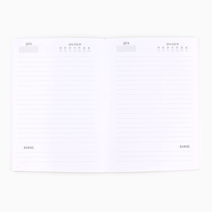 Подарочный набор новогодний, ежедневник в тонкой обложке и ручка &laquo;Чудеса там, где в них верят&raquo;