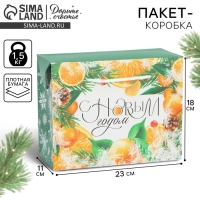 Пакет&mdash;коробка &laquo;Снежная история&raquo;, 23 х 18 х 11 см