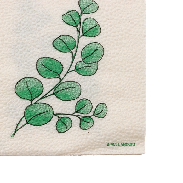 Салфетки бумажные однослойные "Эко" эвкалипт  24х24 см, набор 50 шт.