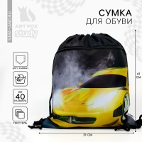 Мешок для обуви &laquo;Крутая тачка&raquo; 2 секции, 30 х 40 см