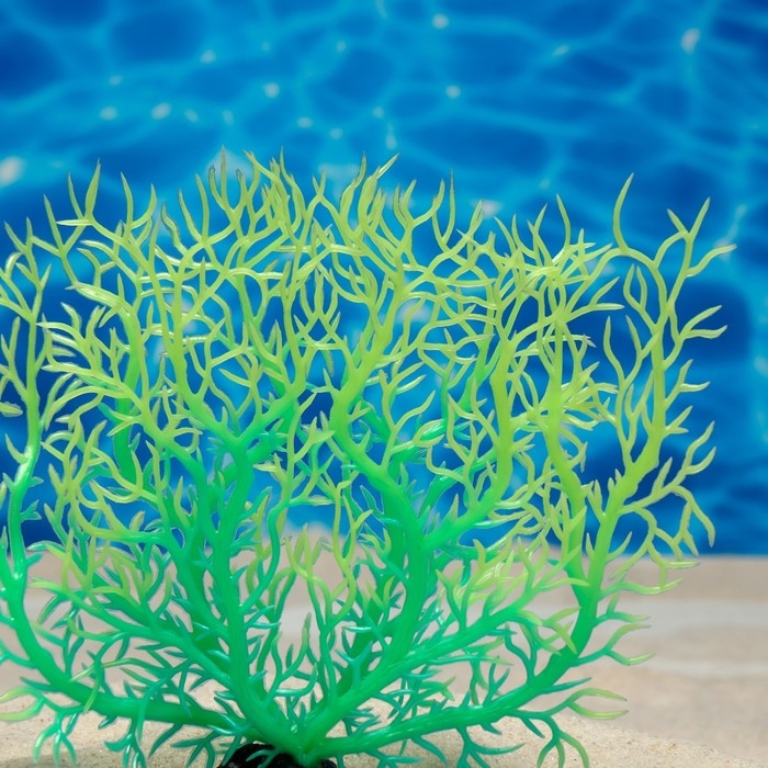 Растение искусственное аквариумное, светящееся, 15 см, зелёное Растение искусственное аквариумное, светящееся, 15 см, зелёное