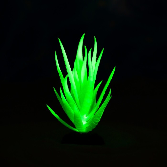 Растение искусственное аквариумное, светящееся, 10 см, зелёное Растение искусственное аквариумное, светящееся, 10 см, зелёное