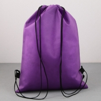 Мешок для обуви &laquo;Волшебная девочка с питомцем&raquo; нетканное полотно, размер 30 х 40 см