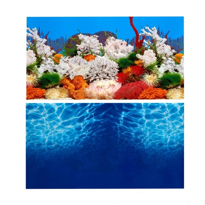 Фон для аквариума двухсторонний, 30 х 50 см