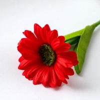 Подарочная ручка прикол &laquo;Самому любимому учителю&raquo;, пластик, синяя паста, 0.5 мм