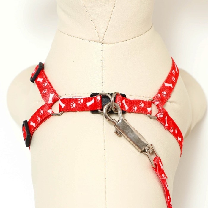 Комплект "Классика", капрон, поводок 120 х 1 см, ОГ 21-35 см, красный