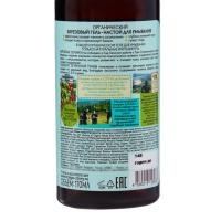 Гель-настой для умывания Рецепты бабушки Агафьи &laquo;Берёзовый органический&raquo;, 170 мл