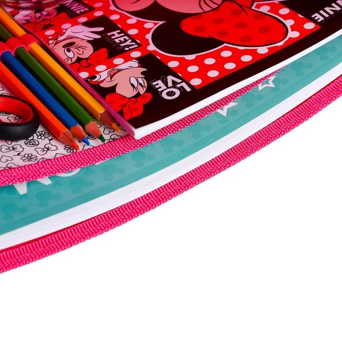 Папка пластиковая А4, на молнии, Минни Маус и единорог Папка пластиковая А4, на молнии, Минни Маус и единорог