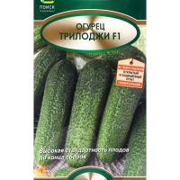 Семена Огурец Трилоджи, F1, 10шт