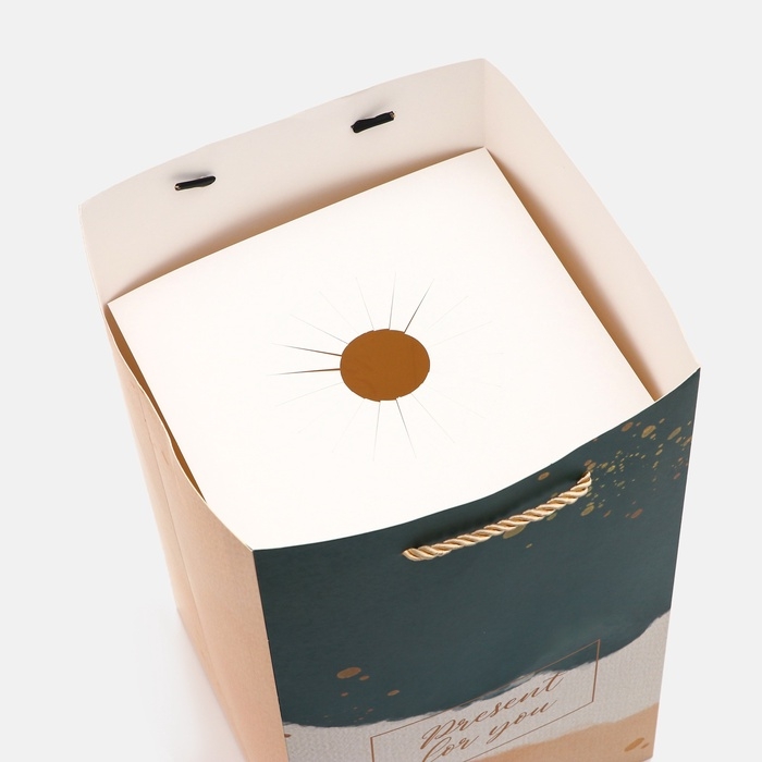 Переноская для цветов с вкладышем, Переноская для цветов с вкладышем, "Present", с ручками, 20 х 20 х 35 см