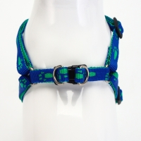 Комплект  "Большая лапа", ширина 1 см, поводок  120 см, шлейка 25-36 см, сине-зелёный