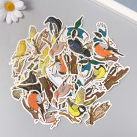 Наклейки для творчества "Городские и лесные птицы" тиснение золото набор 48 шт 9х7х0,8 см Наклейки для творчества "Городские и лесные птицы" тиснение золото набор 48 шт 9х7х0,8 см