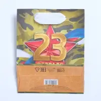 Пакет подарочный крафтовый, упаковка, &laquo;Красная звезда&raquo;, 12 х 15 х 5.5 см