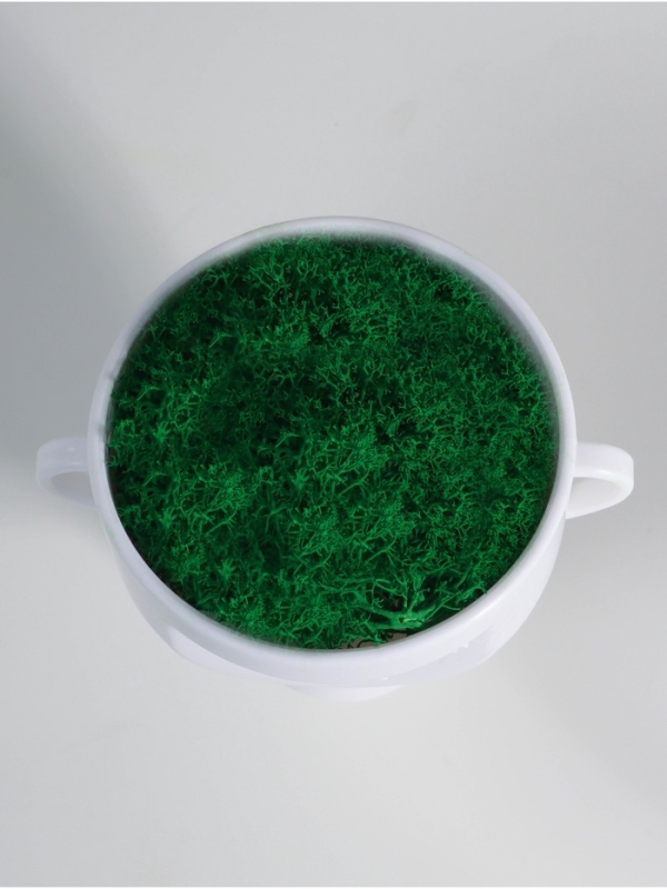 Кашпо пластиковое "Чаша" 10,5*9*11,5 см белый