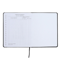 Дневник универсальный для 1-11 класса Anime Comix, интегральная обложка, искусственная кожа, шелкография, ляссе, 80 г/м2