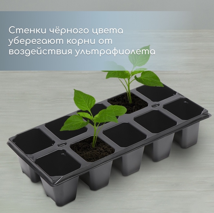 Кассета для рассады, 10 ячеек по 100 мл, набор 5 шт., чёрная