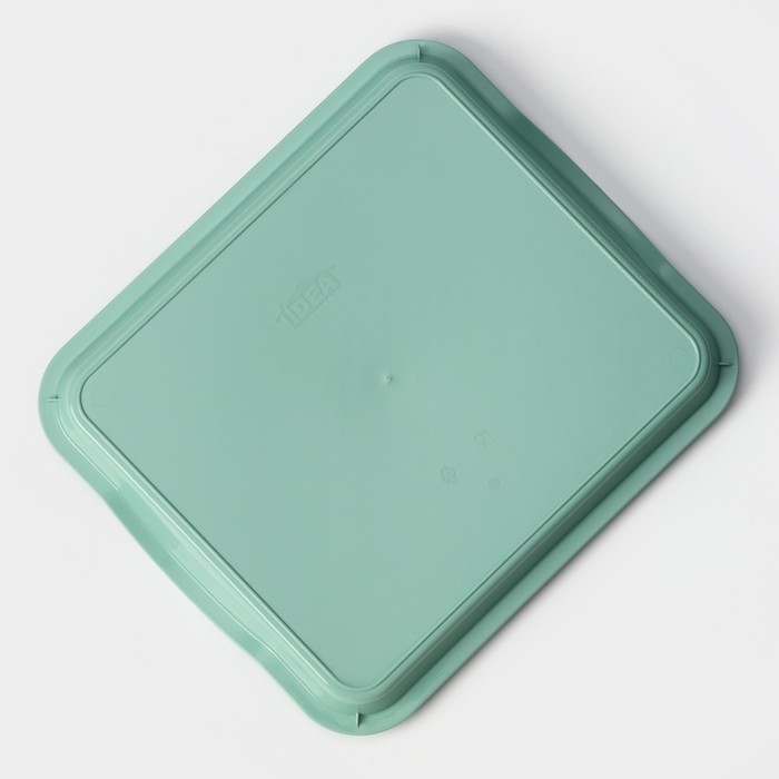 Поднос пластиковый, 25&times;29&times;3,2 см, цвет фисташковый
