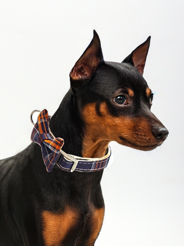 Ошейник Ошейник "Джентельмен в клеточку", 40 х 1,5 см, коричневый