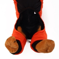 Комбинезон "Тренд", оксфорд, XL (ДС 38, ОШ 37, ОГ 48 см, вес 12-15 кг), оранжевый Комбинезон "Тренд", оксфорд, XL (ДС 38, ОШ 37, ОГ 48 см, вес 12-15 кг), оранжевый